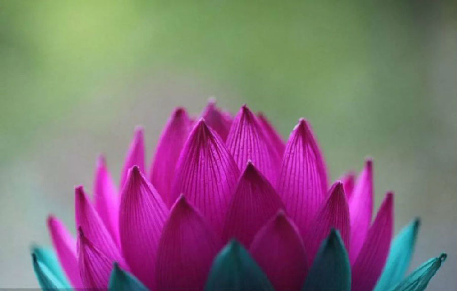 昌樂法師：佛成佛以後，他的業力哪裡去了？