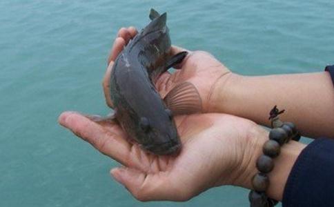 切莫誤解了佛教放生的本意