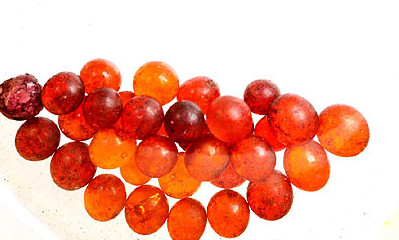 釋迦牟尼佛七彩腦舍利