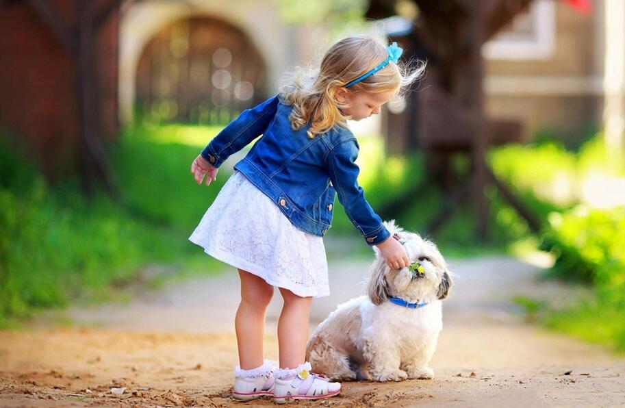 人與動物的關系