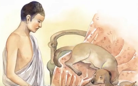 守著財富的小狗