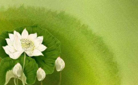 「禪凈合一」也很好