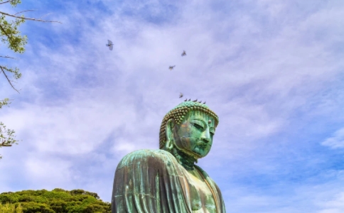 舍棄對五欲的貪著，成功飛出籠子的鴿王