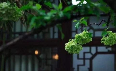 父母一方造惡業一方行善積德,對後代有何因果報應?