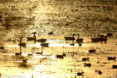 爭吵是滅亡之源