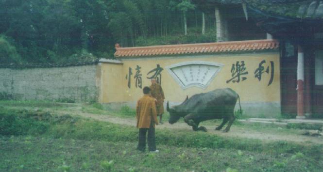 現實版喜歡聞經聽法的靈異動物！