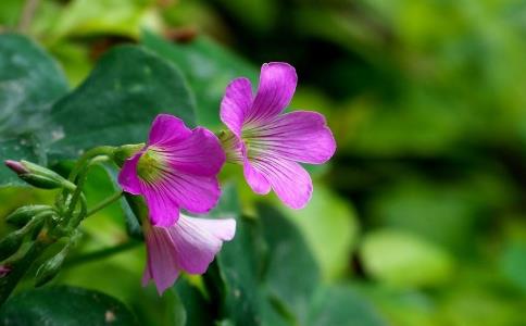 夫妻信仰沖突，怎麼去感化對方？