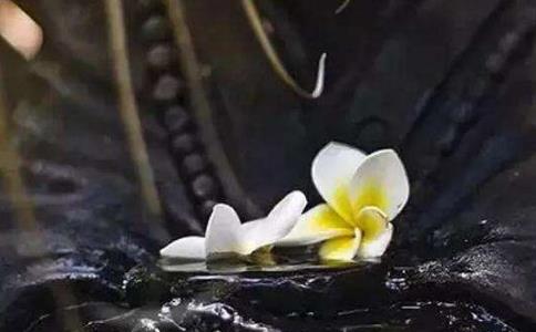 女孩出生便有白布裹身，出家為尼白布變五衣