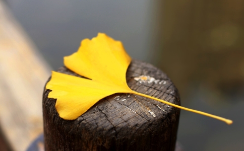 如何清凈自我？