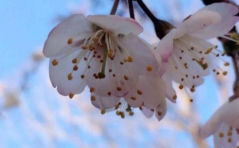 富翁慳吝貪婪成性 轉世成瞎眼乞討兒