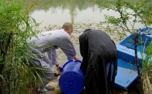 佛教放生的功德和福報和注意事項