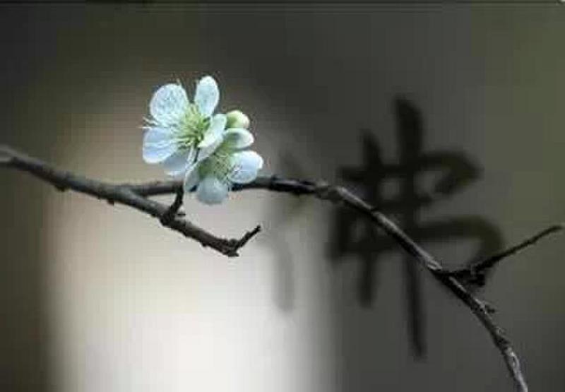 濟群法師：如何才能使心平靜下來？