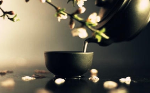 世間沒有好壞之分，適合你的就是好的