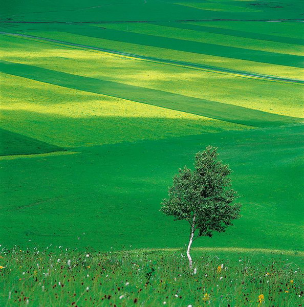 為什麼你在我身後？