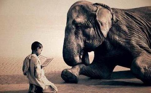 廣結善緣就是助人為樂嗎？