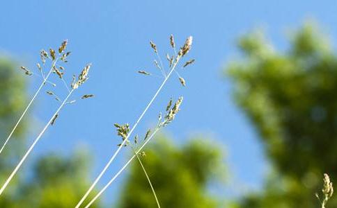 不要把「自己」放進去