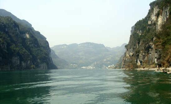 城市上班族放生方法是什麼