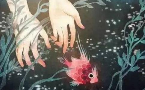 如果沒有條件放生，可以用這些方式替代