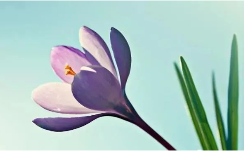 心平氣和 自度度人