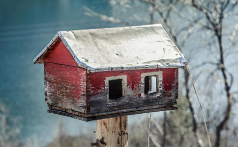 公說公有理，婆說婆有理，怎麼判斷誰更有理？