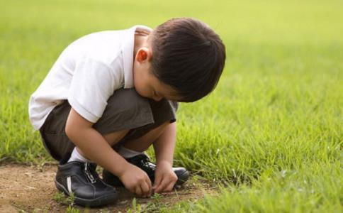 為一隻螞蟻引路，是最大的行善