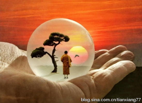 佛陀告訴你，善根驚人的秘密