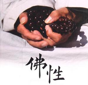 【佛性】佛性是什麼？人人都有佛性嗎？