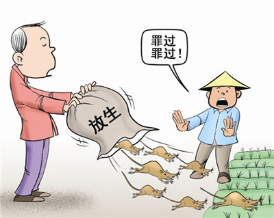 反省和思考放生行為
