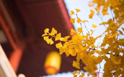 心性要平和柔和