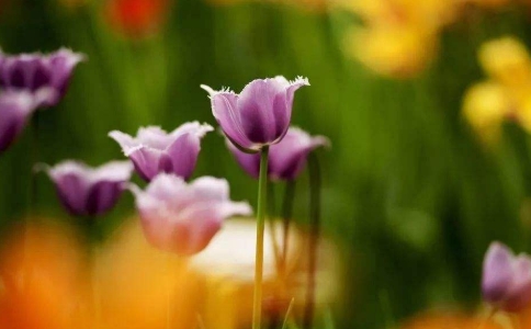 轉變思路，學會感恩，才能成就