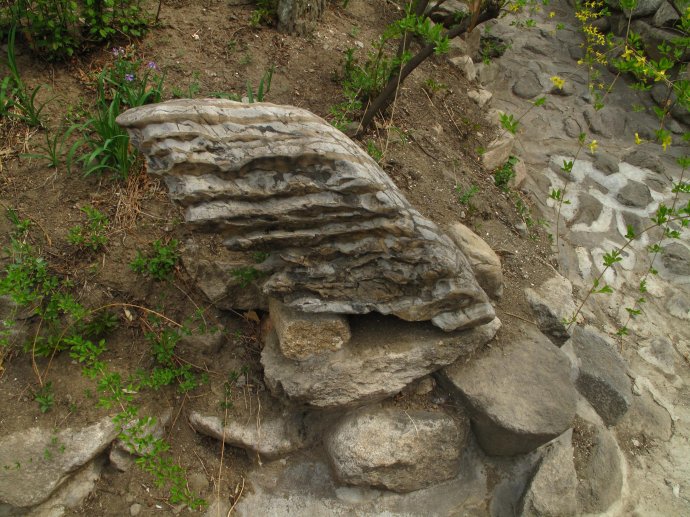 方丈門前的絆腳石