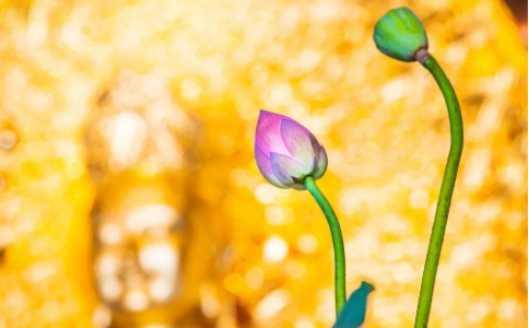 什麼是信心不逆？