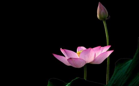 人的慾望總是難以得到滿足