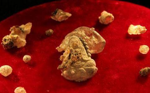 舍利子的供養品有哪些