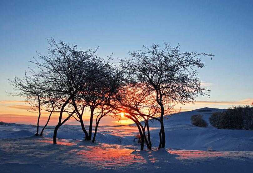 祈禱，為了一切生靈