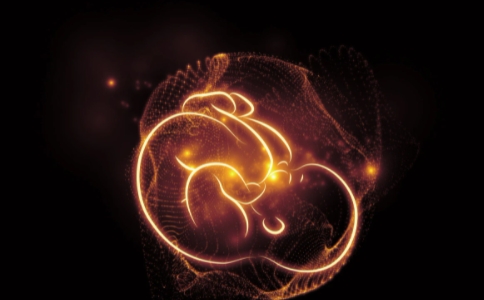 【墮胎】佛家對墮胎的說法，墮胎的果報是什麼？