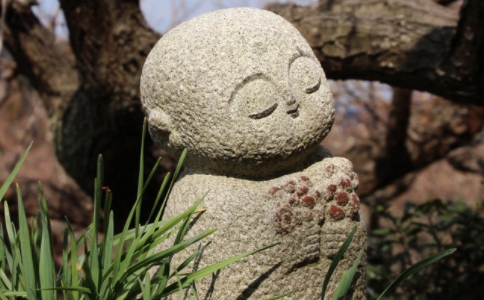 平凡不等於平庸，人人皆可發大願