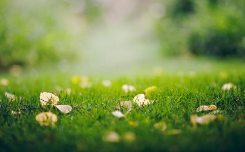 怎樣才能找回因邪淫損失的福報呢？