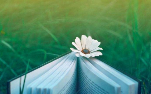 脾氣急、說話有口無心是否有業報?