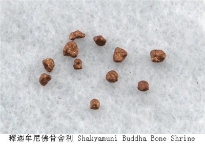 釋迦牟尼有多少顆舍利子分布在哪裡