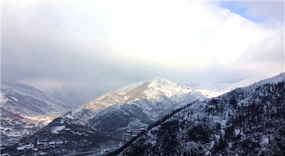 在殊勝的放生中出現的瑞相