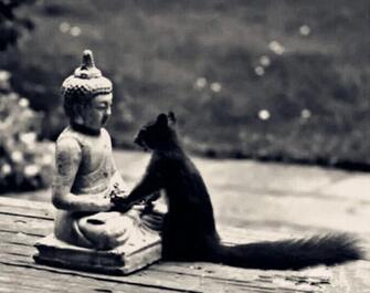 【眾生】的意思是什麼？佛教中的眾生指的是什麼？