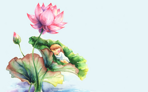 正確有效的放生護生方法