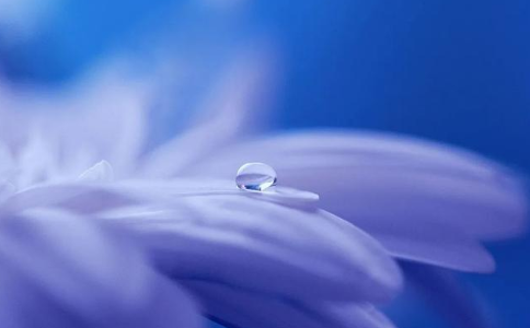 覺性是永恆的、沒煩惱、證佛國