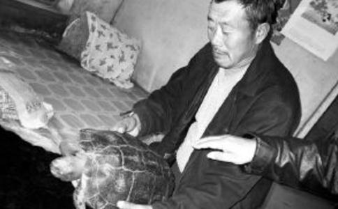 感動！三次放生巨龜戀恩人流淚不肯走