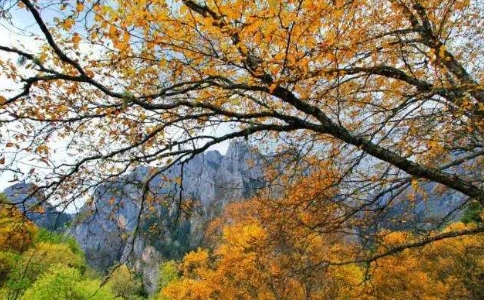能無欲無求地度過此生挺好，可做起來不容易怎麼辦？