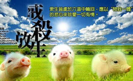 【殺生】殺生是什麼意思？殺生的果報是什麼？