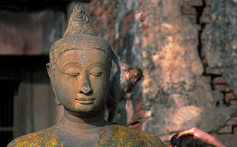 【定力】是什麼意思？如何增強定力？