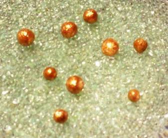 佛祖舍利共有多少個