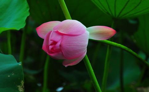 佛法是「唯心主義」嗎？